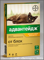 ���������� 40 (Advantage 40)