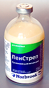 �������� (Pen&Strep)